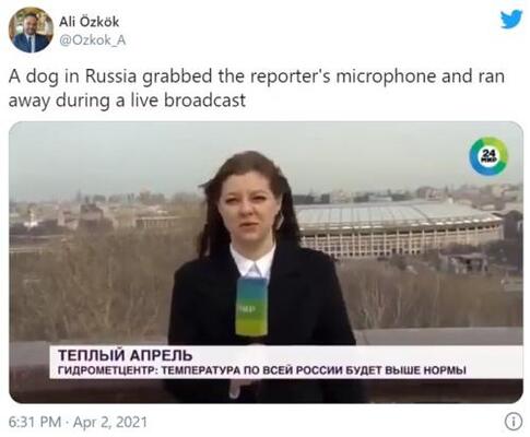 ニュース番組の生放送中にレポーターがマイクを強奪される事件がロシアで発生 ニコニコニュース ニュース番組の生放送中にレポーターがマイクを強奪される事件がロシアで発生 ニコニコニュース