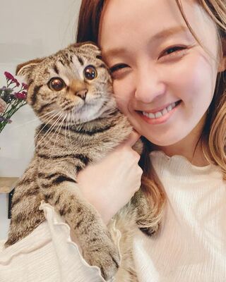 Dream Amiの愛猫とたわむれる動画 オフショットに 笑顔が素敵 かわいい と反響 ニコニコニュース