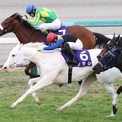 ベガ 競走馬 とは ベガとは 単語記事 ニコニコ大百科