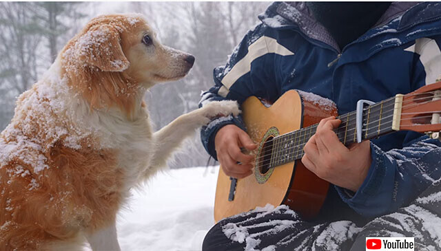 雪上で飼い主が弾くギターの音色をじっと聞いている犬たちのやさしい世界 ニコニコニュース