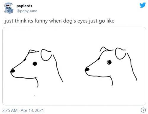 犬の横目って何のサインなんだろう 遊んで欲しい時に横目で見てくることが多いかも こっちの出方を伺ってるんだよ ニコニコニュース 犬の横目って何のサインなんだろう 遊んで欲しい時に横目で見てくることが多いかも こっちの出方を伺ってるんだよ ニコニコニュース
