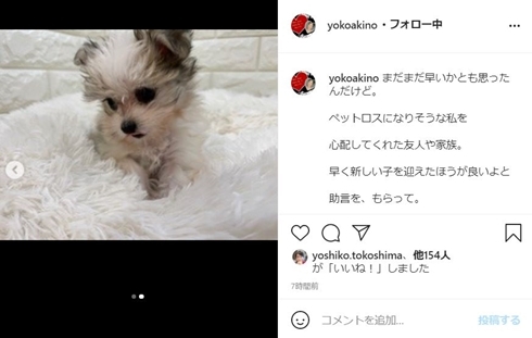 秋野暢子 新しい家族 マルポメの小夏を迎える 愛犬との別れから1カ月 まだまだ早いかとも思ったんだけど ニコニコニュース