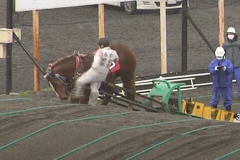 騎手が 馬の顔蹴る 動画が物議 ばんえい競馬 許される行為ではない と処分 ニコニコニュース