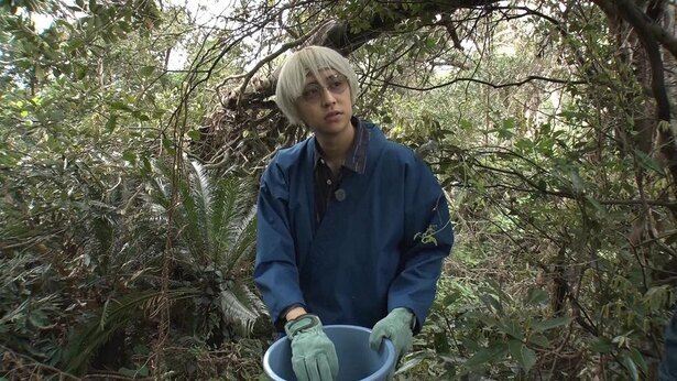 Hey Say Jump八乙女光 やおとめジュニア たちを率いて森の奥へと進む ヒルナンデス ニコニコニュース