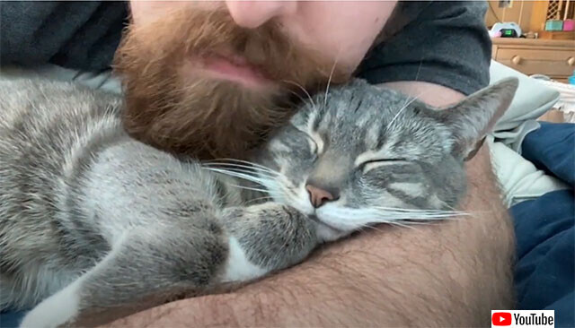 猫がヒゲメンを好む理由 ヒゲが天然のブラシ代わりに ニコニコニュース