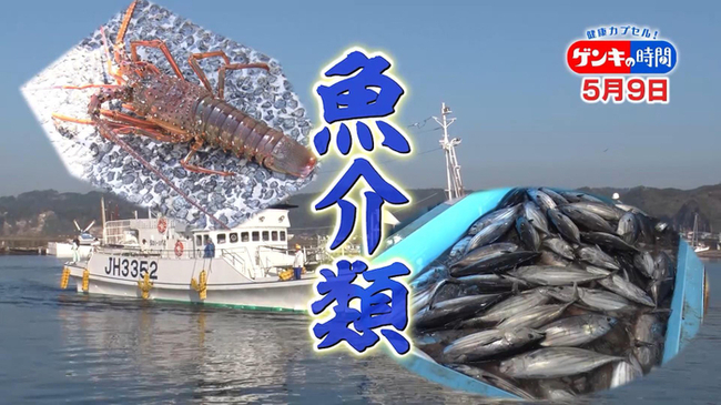 日本屈指の港町で学ぶ 魚介類の健康効果と簡単で美味しい食べ方を徹底リサーチ 栄養満点魚介レシピもご紹介 ニコニコニュース