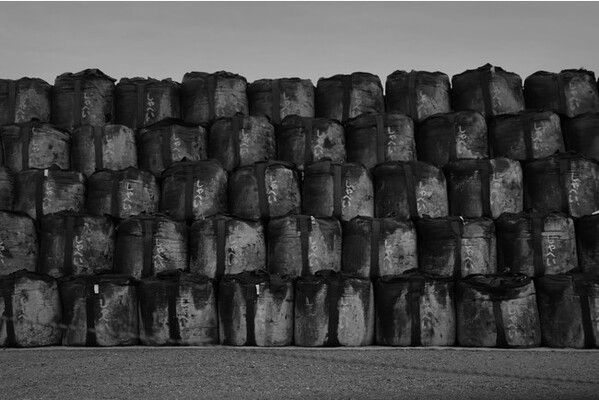 アイデムフォトギャラリー シリウス 並木すみ江 写真展 フクシマ 期間 21年5月13日 木 5月19日 水 ニコニコニュース