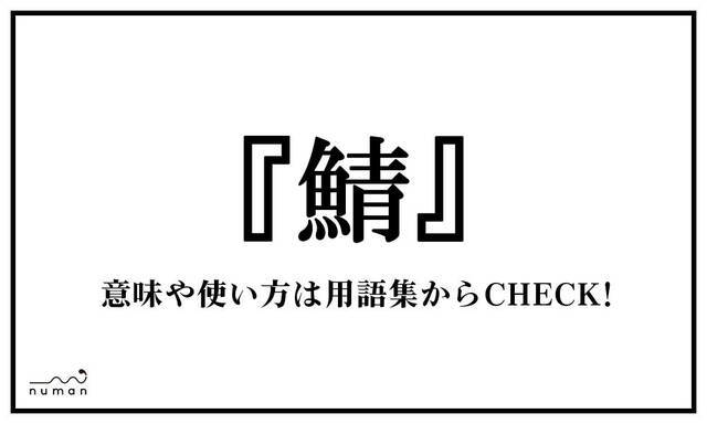 鯖 さば ニコニコニュース