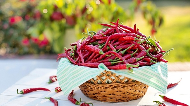 唐辛子 の驚くべき効果効能 ニコニコニュース