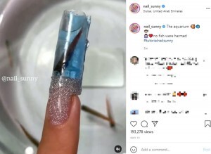 生きた魚を指先に使ったネイルサロンに 動物虐待 と非難殺到 露 動画あり ニコニコニュース 生きた魚を指先に使ったネイルサロンに 動物虐待 と非難殺到 露 動画あり ニコニコニュース