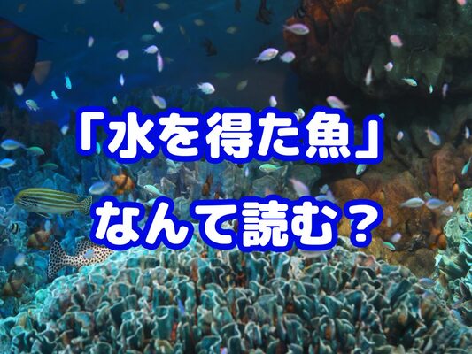 意外と知らない 水を得た魚 の読み方 正しい読み方は ニコニコニュース 意外と知らない 水を得た魚 の読み方 正しい読み方は ニコニコニュース