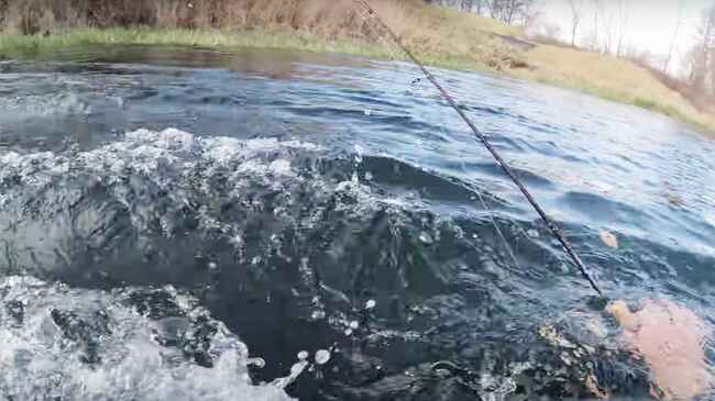 日本 岸は近いのに 釣りをしていたら深みにハマりヤバすぎることになる動画が怖すぎる ニコニコニュース