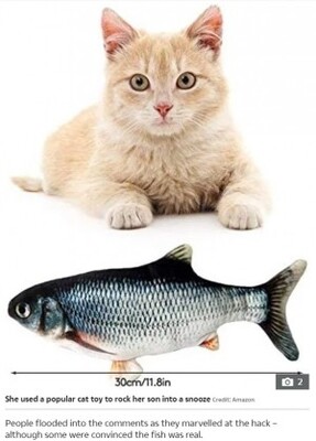 猫用のおもちゃで赤ちゃんを寝かしつけるママのアイデアに230万件超の いいね 米 動画あり ニコニコニュース 猫用のおもちゃで赤ちゃんを寝かしつけるママのアイデアに230万件超の いいね 米 動画あり ニコニコニュース