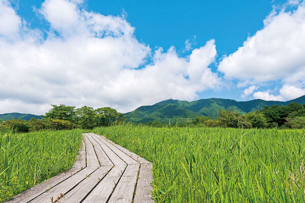 箱根 で 夏の小旅行 おすすめ絶景 グルメスポット 夏の花 日帰り温泉 スイーツ ニコニコニュース