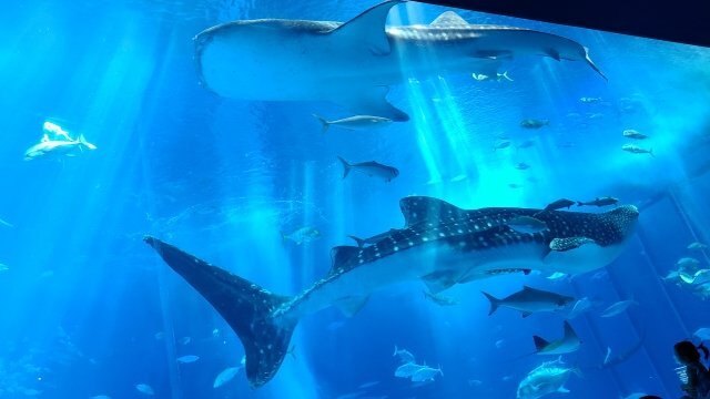 旅先でお金が無くなり 立ち尽くしていると 知らないおばあさんがくれた 忘れられない思い出 広島県 40代女性 ニコニコニュース