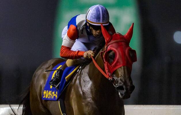 スパーキングレディーc 矢野貴 気持ち良かった サルサディオーネが圧勝 ニコニコニュース