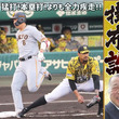 Vやねん タイガース 日刊スポーツグラフ Az 商品記事 ニコニコ大百科 Vやねん タイガース 日刊スポーツグラフ Az 商品記事 ニコニコ大百科