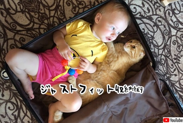 猫と赤子がぴったり収まるスーツケース収納術 ニコニコニュース