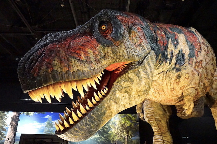動く実物大ティラノサウルスロボットにおののけ 恐竜展21 内覧会レポート ニコニコニュース