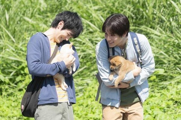 ワンちゃんファースト の中川大志が無邪気に犬と戯れる 映画 犬部 ニコニコニュース
