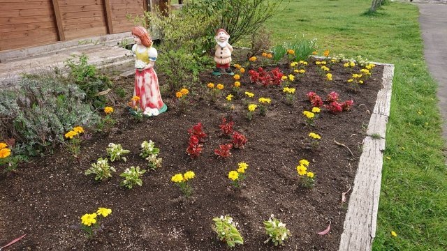 せっかく花壇を作っても 誰かが繰り返し荒らしていく 犯人を突き止めるため 監視カメラで確認すると 神奈川県 ニコニコニュース