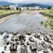 たった30秒で濁流に！魚沼市が公開した川の増水の様子の動画が話題に