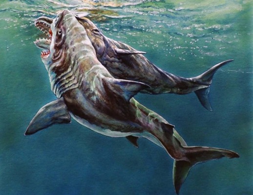 メガロドンに致命的な攻撃を受けたと思われるマッコウクジラの化石が発見される ニコニコニュース メガロドンに致命的な攻撃を受けたと思われるマッコウクジラの化石が発見される ニコニコニュース