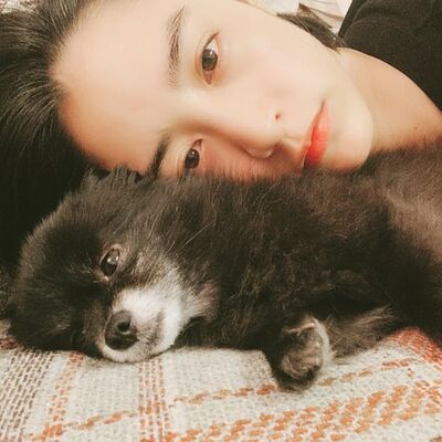 山本美月 愛犬との 添い寝ショット を公開し 目の保養 流石です の声 ニコニコニュース