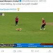 クリケットの試合に大興奮の犬が乱入　見事ボールをキャッチして実況者も笑い止まらず（北アイルランド）＜動画あり＞