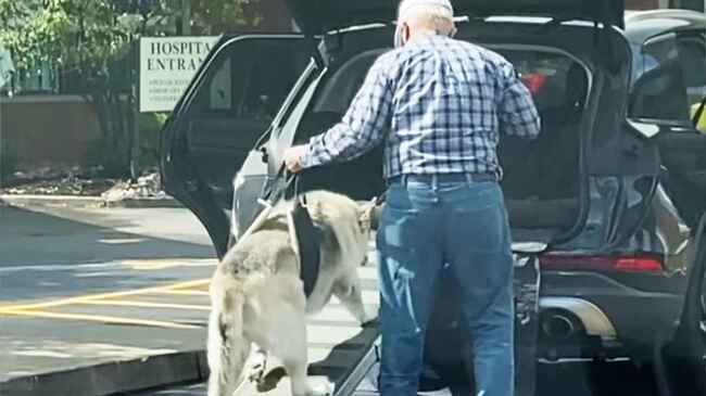 永遠の親友だ 自分も大変そうなのに老犬を優しく労わるおじいさん 一緒に歳を重ねた変わらない愛が感動的だと話題に ニコニコニュース