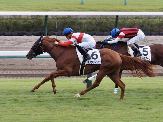 新馬 中山5r ドゥラメンテ産駒 ダノンティアラがデビューv ニコニコニュース 新馬 中山5r ドゥラメンテ産駒 ダノンティアラがデビューv ニコニコニュース
